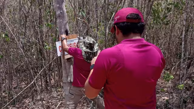 La Profepa, apoyada por la Guardia Nacional, colocó sellos en un terreno cercano a las ruinas de Uxmal