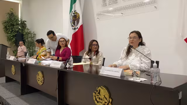 La presidenta de la Comisión, Jazmín Villanueva Moo, señaló que serán respetuosos de las resoluciones que se vayan a tomar