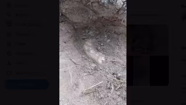 Ahora se investiga la identidad de los cuerpos encontrados