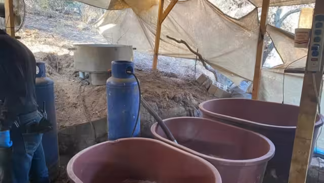 Los presuntos empresarios aseguraron tener influencias en el gobierno