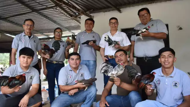 En Yucatán existen 15 criaderos