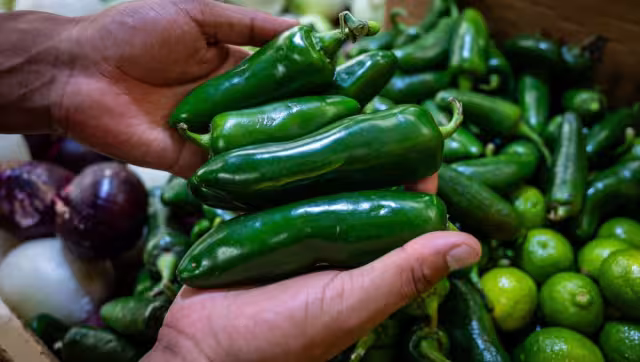 En total se analizaron 10 muestras de materia prima y producto terminado, correspondientes a chile jalapeño verde