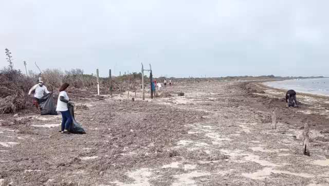 En esta ocasión se les dio prioridad a las playas de la zona costera ante la cercanía del período vacacional