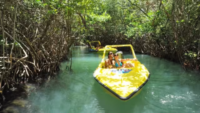 Para llegar hay que pasar un canal de manglares en kayak o lancha