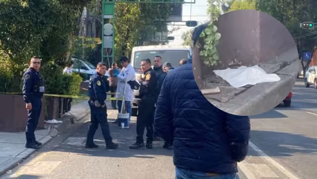 El feto fue hallado al pie de una jardinera