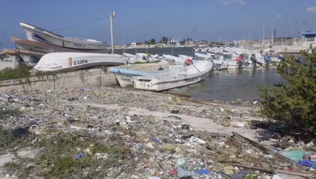 En las playas se pueden ver animales muertos, ropa, jeringas y hasta bloqueadores solares