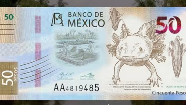 Estos billetes son considerados objetos de colección