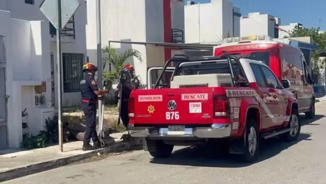 Elementos de rescate de la SSP aseguraron al pitbull en Los Héroes