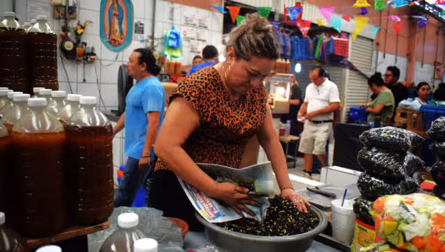 Hay puntos, como los mercados, donde las palabras yucatecas son más usadas y resulta toda una experiencia para aprenderlas