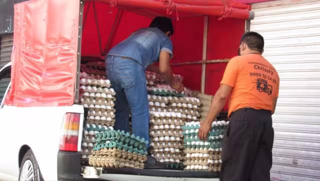 El huevo es considerado uno de los alimentos que integran la canasta básica
