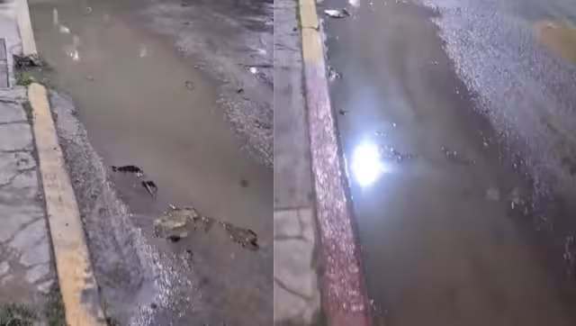 Las aguas negras eventualmente llegan al océano, afectando el arrecife y los pastos.