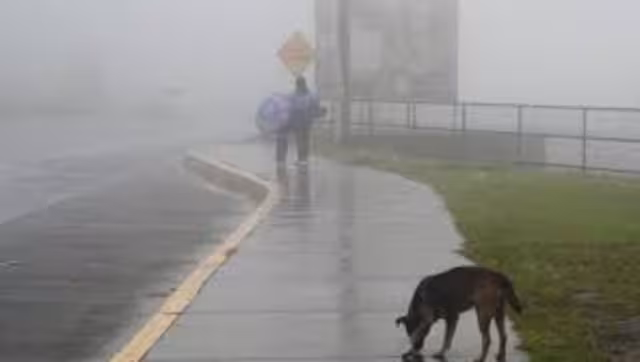 La Tormenta Tropical Pilar que afecta a El Salvador, ha dejado un saldo preliminar de 3 personas fallecidas