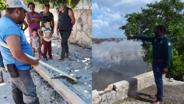 Vecinos señalaron que los hallazgos son comunes en días lluviosos