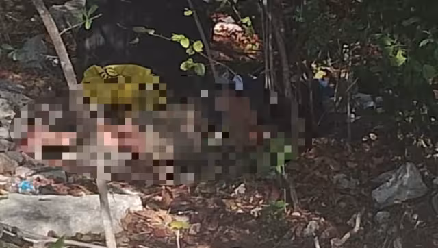 El hombre se encontraba tendido en el monte baldío de Playa del Carmen