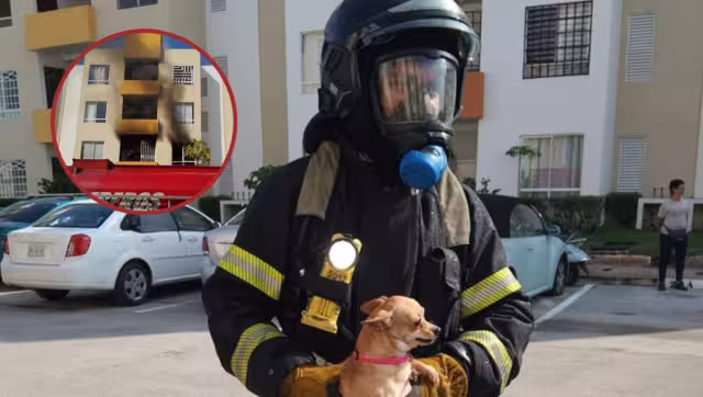 El siniestro ocurrió al interior de un departamento, ubicado en el segundo nivel