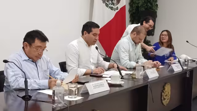 Previamente, su publicación en el Diario Oficial del Estado y tendrán vigencia hasta el 31 de diciembre del mismo año