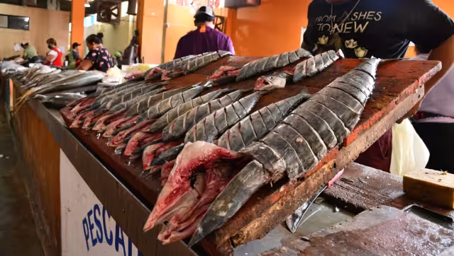 El precio de las especies que ofertan no ha incrementado