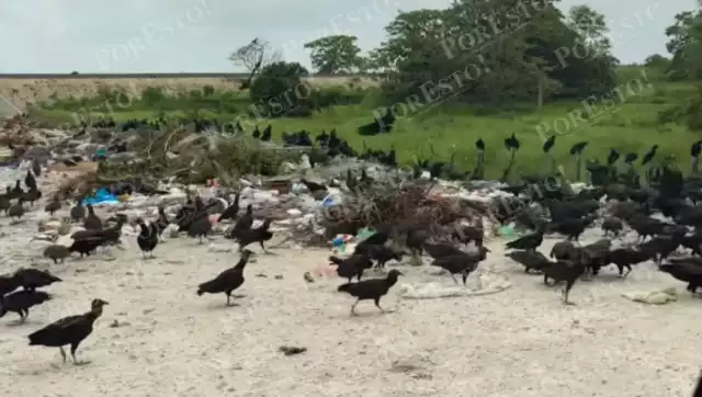 Turistas y locales afectados por contaminación en basurero cercano al Tren Maya