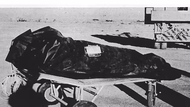 Hasta ahora, la publicación no confirma la existencia de vida extraterrestre ni de tecnología alienígena
