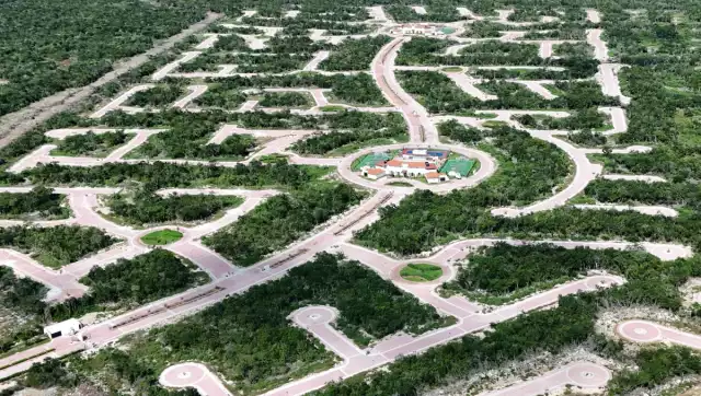 La Profepa clausuró y suspendió las actividades del proyecto “Urbanización Ciudad Maderas Península II” en Chelem