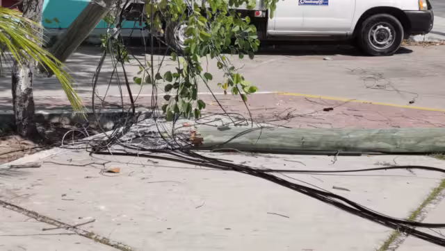 Vecinos ya reportaron el hecho para recuperar el servicio lo antes posible
