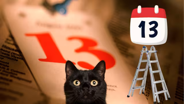 De buena o mala suerte. Foto: Especial