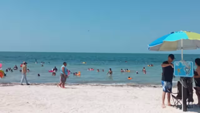 Ha mejorado la calidad del agua