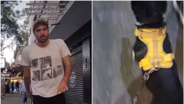 Sujeto agrede a una joven por pelea de mascotas en la Roma, CdMx
