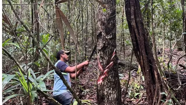 La actividad se realiza en 9 localidades del municipio
