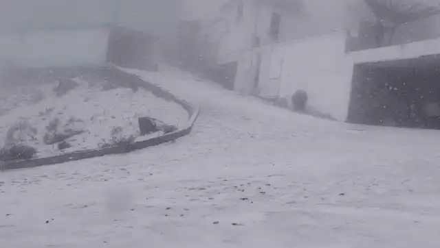 Veracruz registra primera nevada de la temporada: así se ve de blanco el Cofre de Perote