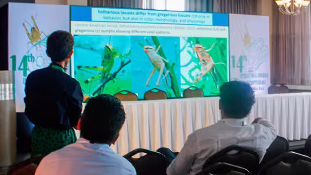 De esta manera, se tienen localizadas áreas de reproducción permanente, que están en condiciones de monitoreo constante