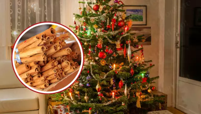 Más allá de las esferas: elementos mágicos para tu árbol navideño