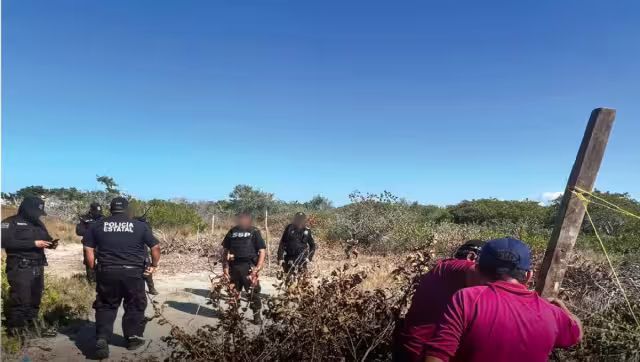 Clausuran obras irregulares en zona de manglar en Progreso