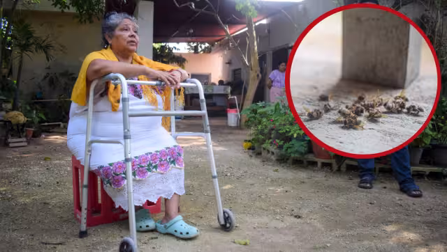 La especialista teme que el efecto pueda ser aún mayor en los próximos dos o tres meses