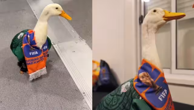 El pato Merlín sufre el robo de sus zapatos en la CDMX