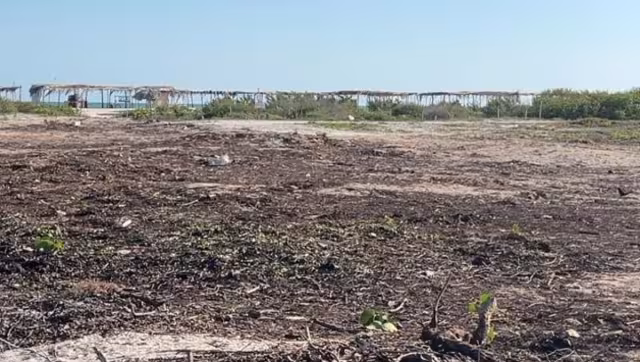 Desoyen las medidas de la Profepa, pues ya se lotificaron zonas de la playa y se quemó maleza