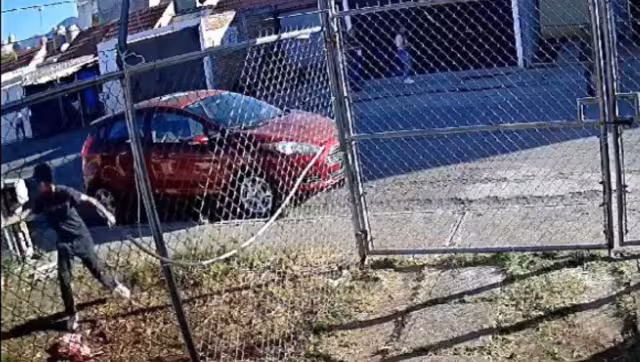 Una cámara de seguridad logró captar el momento en uqe un joven balea a un perro en la colonia Arko San Antonio de Morelia, Michoacán