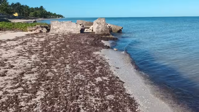 Durante esta temporada de otoño hay muy poca presencia de vacacionistas en el puerto ubicado en el Litoral Norte