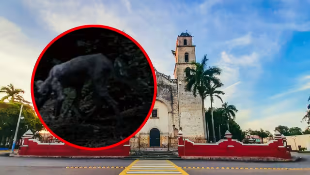 Criatura con colmillos y piel colgante siembra miedo en Espita