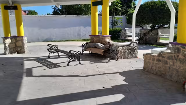 Sin importar la hora, cuando tienen sueño arrastran su colchón y se acuestan a dormir