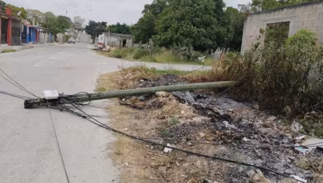 El poste es propiedad de la empresa Telmex