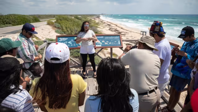 En Cozumel se tomaron varias medidas, como instalación de cámaras, una estación meteorológica y de ciencia ciudadana en los miradores