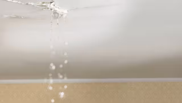 Las goteras pueden ser un dolor de cabeza dentro de las casas
