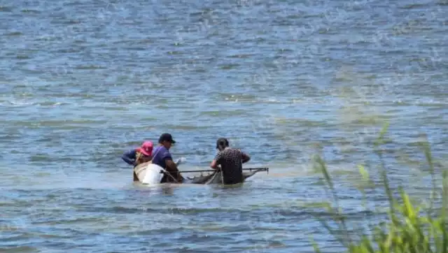 Pescadores ribereños recurren a la captura de camaroncito en Champotón.