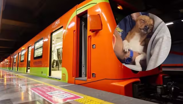 Muchos usuarios del Metro se vieron identificados en el perrito