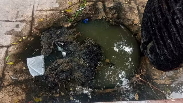 Los vecinos de la zona comentaron que, que la peste es cada vez peor