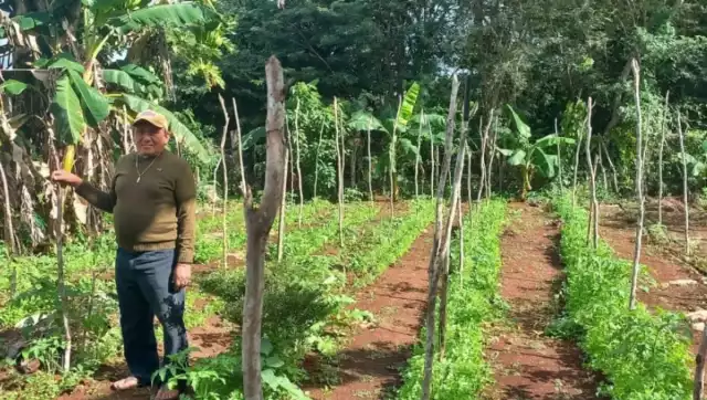 A decir de los trabajadores del campo, este conocimiento era fundamental para garantizar que hubiera buenas cosechas