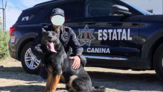 La perrita fue un regalo de Miami a la policía de Aguascalientes