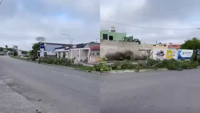 Indigna retiro de árboles en avenidas de Mérida; vecinos piden explicación urgente