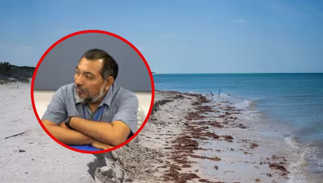 La erosión se comerá la arena y lo que se construya terminará dentro del agua marina